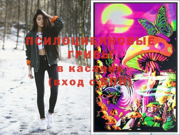 apvp Алзамай