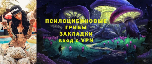 apvp Алзамай