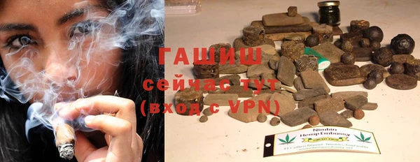 apvp Алзамай
